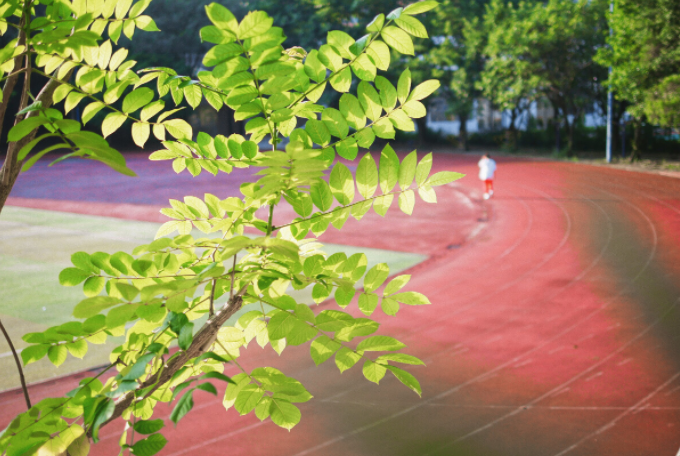 1718698131205409.png 1718698131205409.png