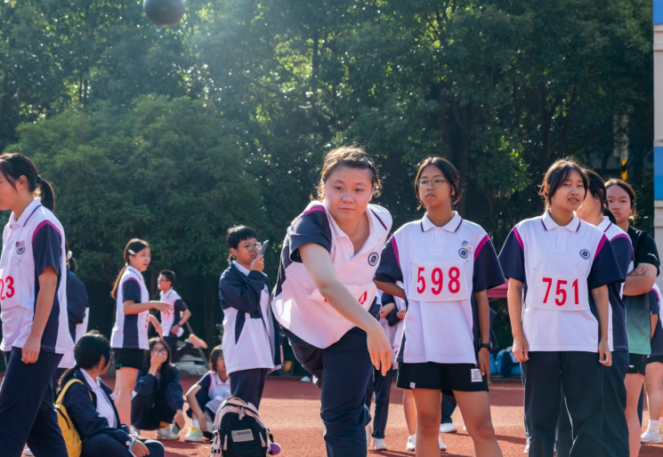 1730946509918079.png 1730946509918079.png