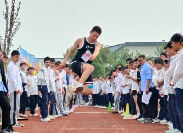 1730946619701541.png 1730946619701541.png